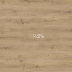 Ламинат Haro Daily Edition 8 mm 541343 Дуб Бреда Пуро фото 1 | FLOORDEALER